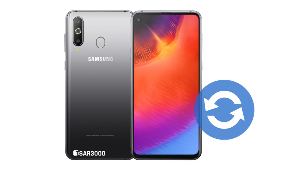 Update Samsung Galaxy A9 Pro 2019 Software