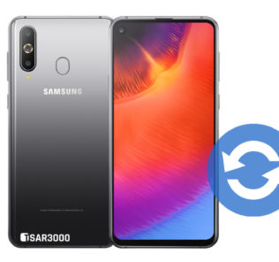 Update Samsung Galaxy A9 Pro 2019 Software