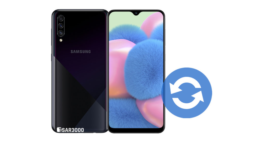 Update Samsung Galaxy A30s Software Version