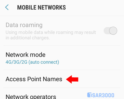 Access-Point-Names-Option